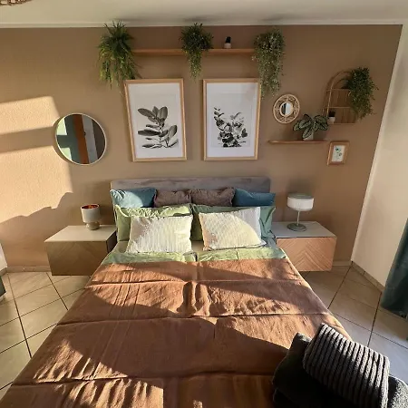205 Boho